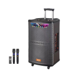 Wireless Karaoke BT Speaker