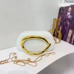 Women's Acrylic Clutch Handbag