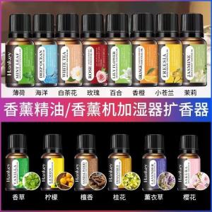 Aromatherapy Essential Oil (10ml random sent, can not be specified)