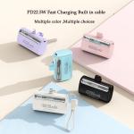 Portable PowerBank 22000mAh