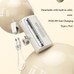 Portable PowerBank 22000mAh